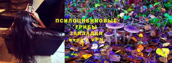 spice Балахна